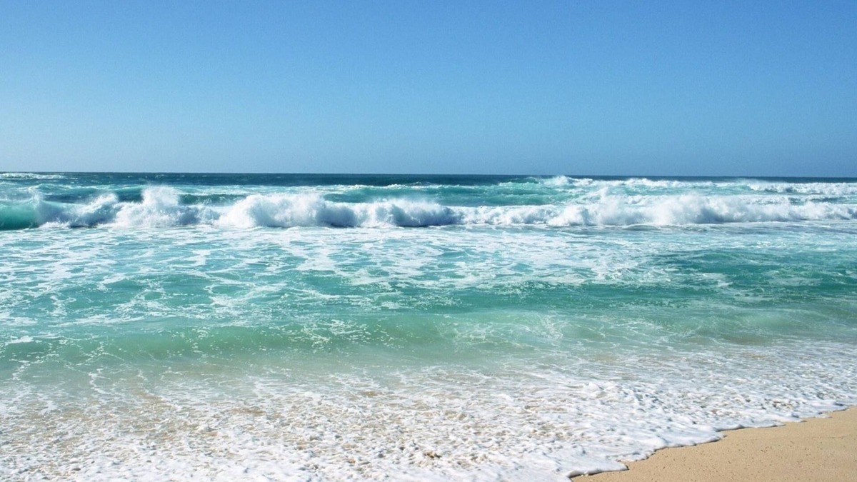 Tirrenia Apartment | Sea and beach holidays
