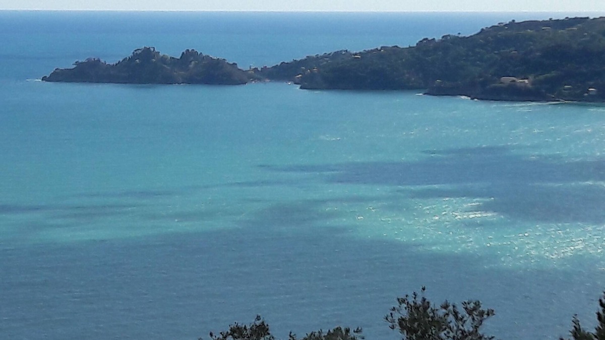 Zoagli House | SEA AND OLIVE TREES PORTOFINO