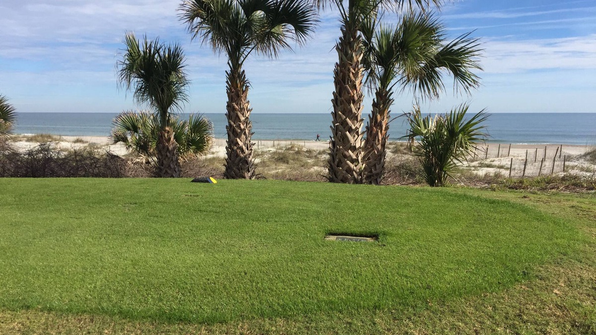 Fernandina Beach Condo | Sea Dunes 3 bedroom Oceanfront Beach Condo