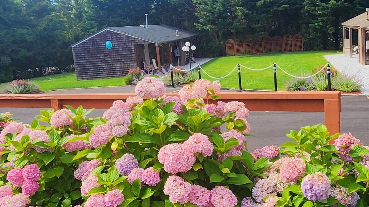 Shinnecock Hills Hotel | Sea Haven Resort Motel