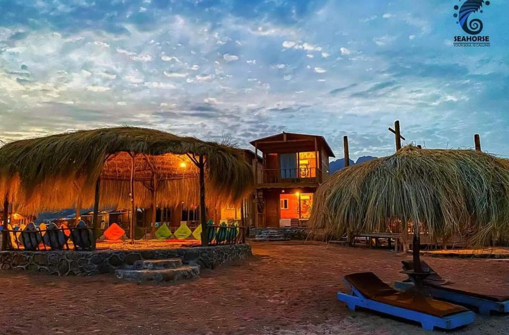 Nuweiba Other | sea horse