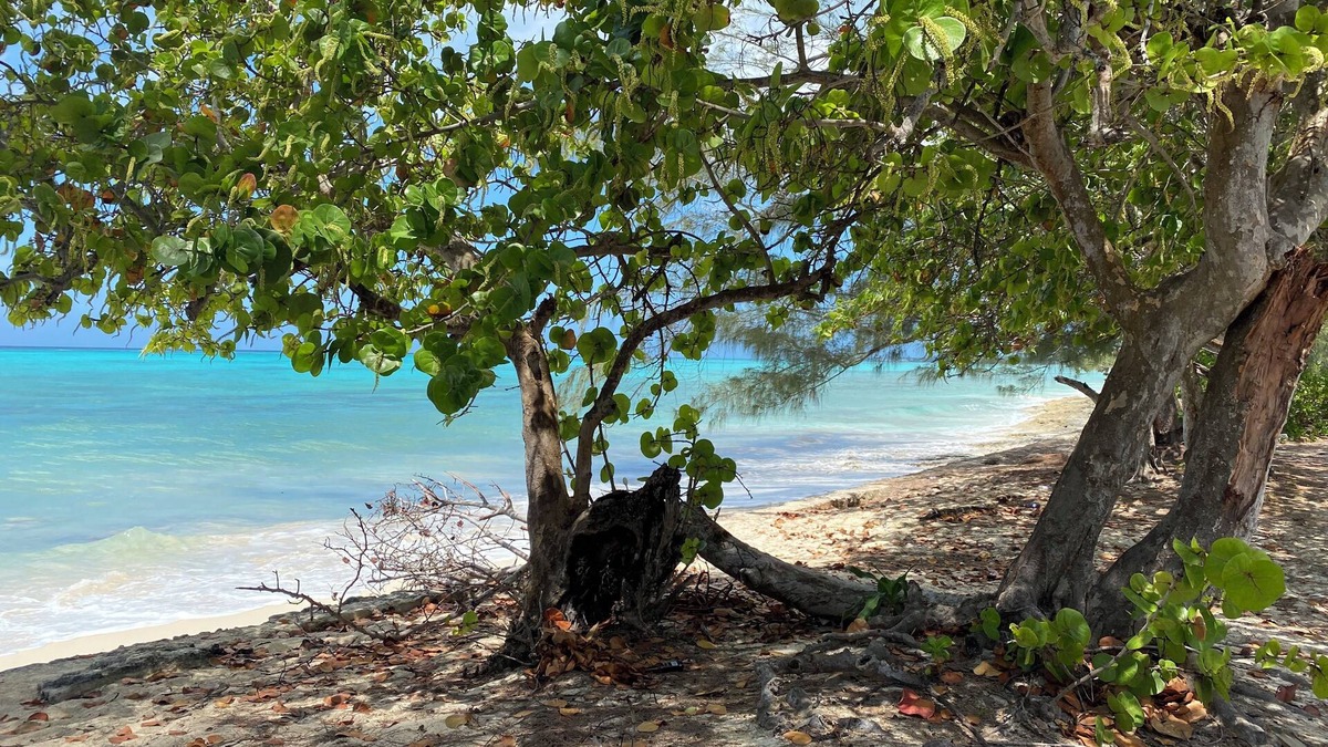 Gambier Apartment | Sea Shells, your island home away from home is a studio/efficiency off West Bay.