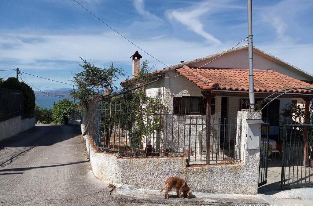 Tanagra House | Sea view Dilesi
