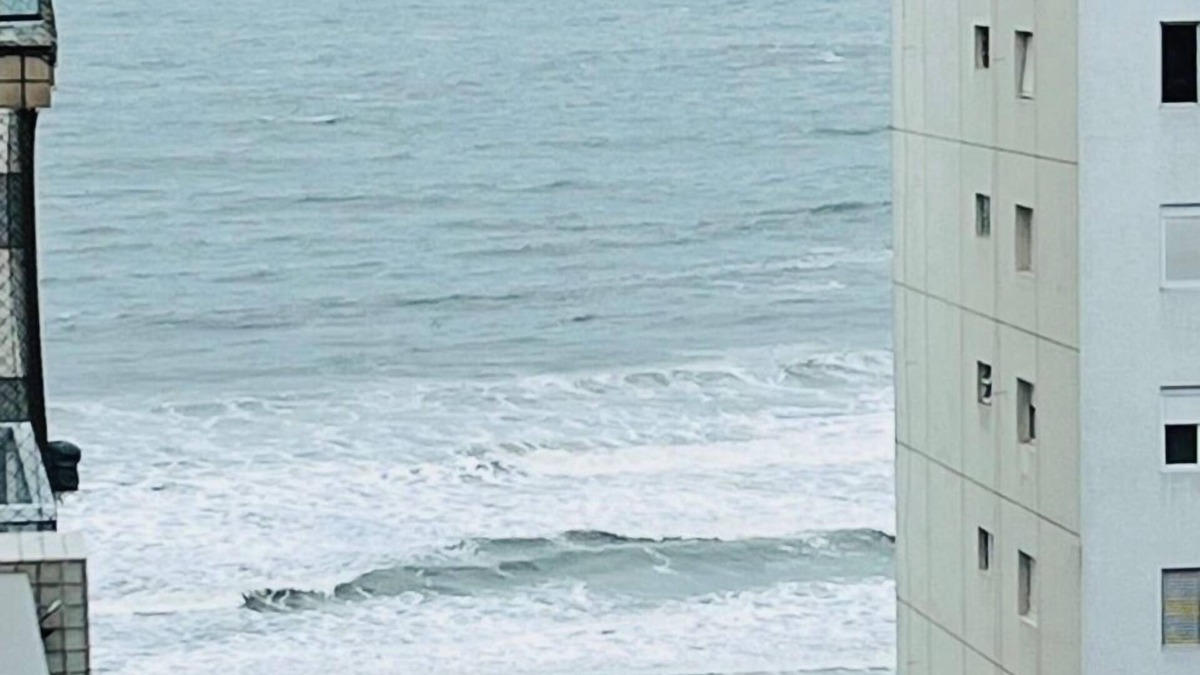 Pitangueiras Apartment | Sea view Pitangueiras. Beach service. Garage. Safety net.