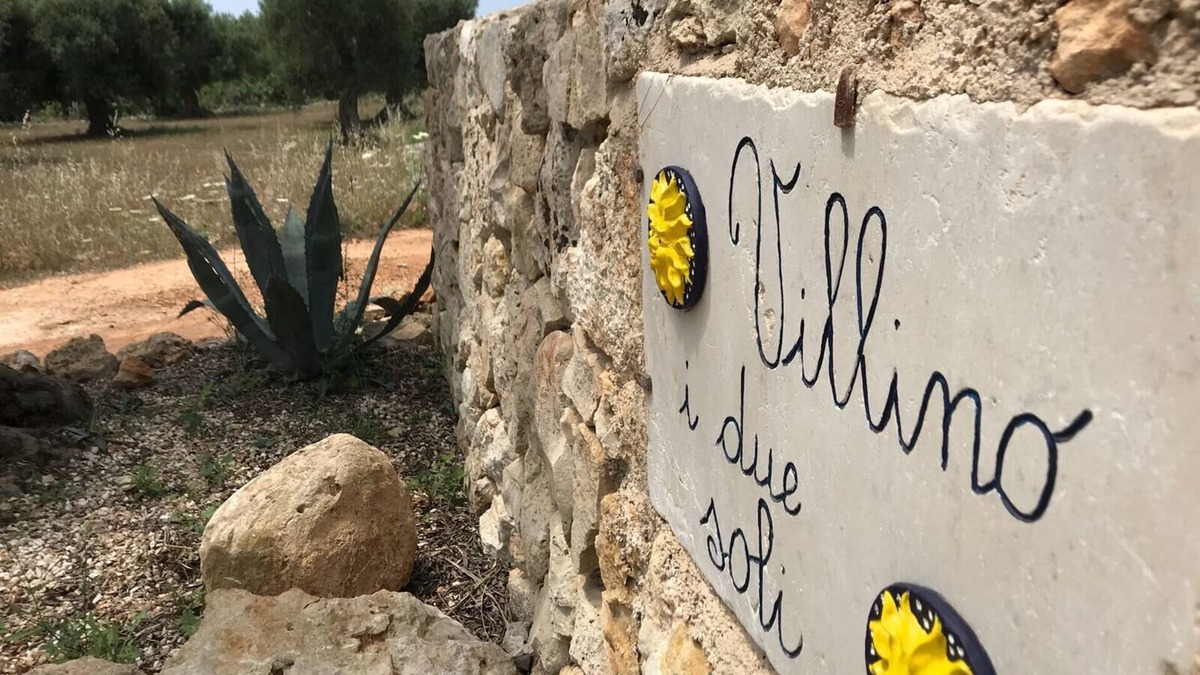 Patu Villa | Sea view villa set in a sea of ?. olive