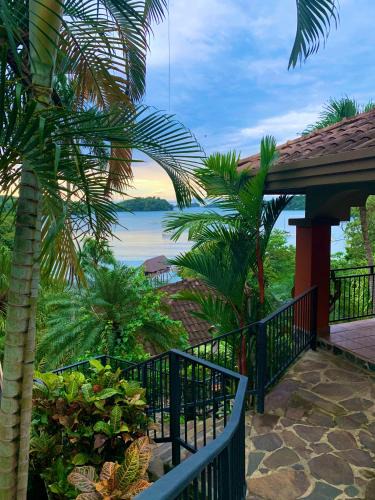 Boca Chica Hotel | Seagull Cove Resort