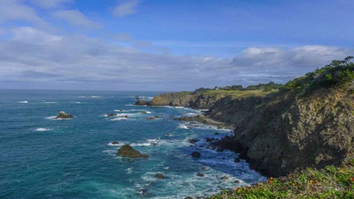 Albion House | Seal Point - Edge of the World