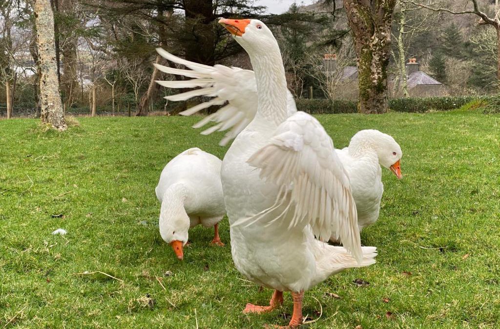 Valentia Island House | Seaside Cottage