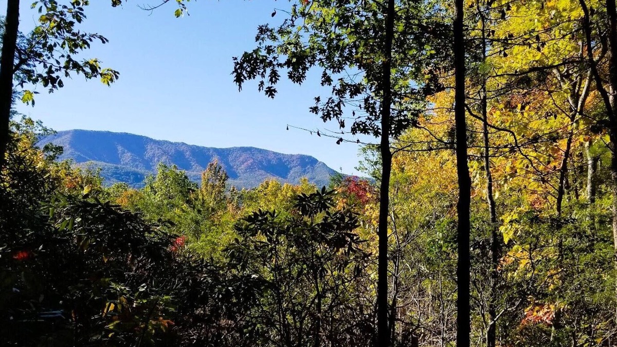 Gatlinburg - Pigeon Forge Cabin | SECLUDED-Amazing Views-2 Kings-HotTub-Firepit-Resort Pools & Pickleball Courts