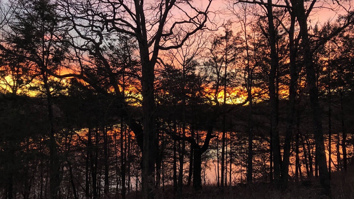 Omaha House | Secluded Branson Tablerock Lake Sanctuary/Mins. to Marina/lake - 20 min Branson