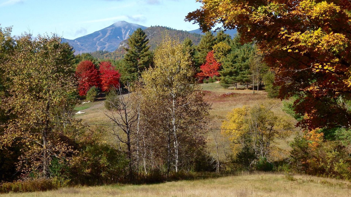 North Pole Cottage | Secluded cottage! Amazing Views Whiteface Mtn & High Peaks! Great all 4 seasons!