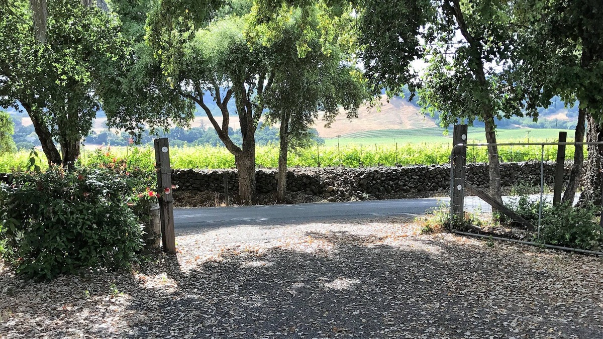 El Verano Cottage | Secluded Cottage, With Vineyard View, Sleeps Six, Great Location!