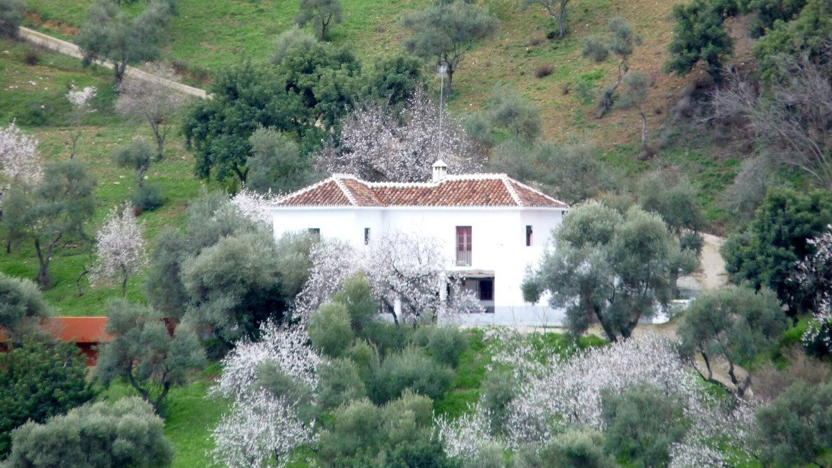 Gaucin House | Secluded country house with pool in beautiful setting, views