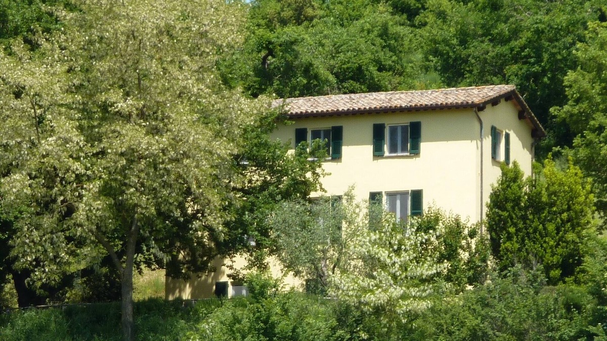 San Michele in Teverina Villa | Secluded country villa - large pool/table tennis/pool table/foosball/bocce court