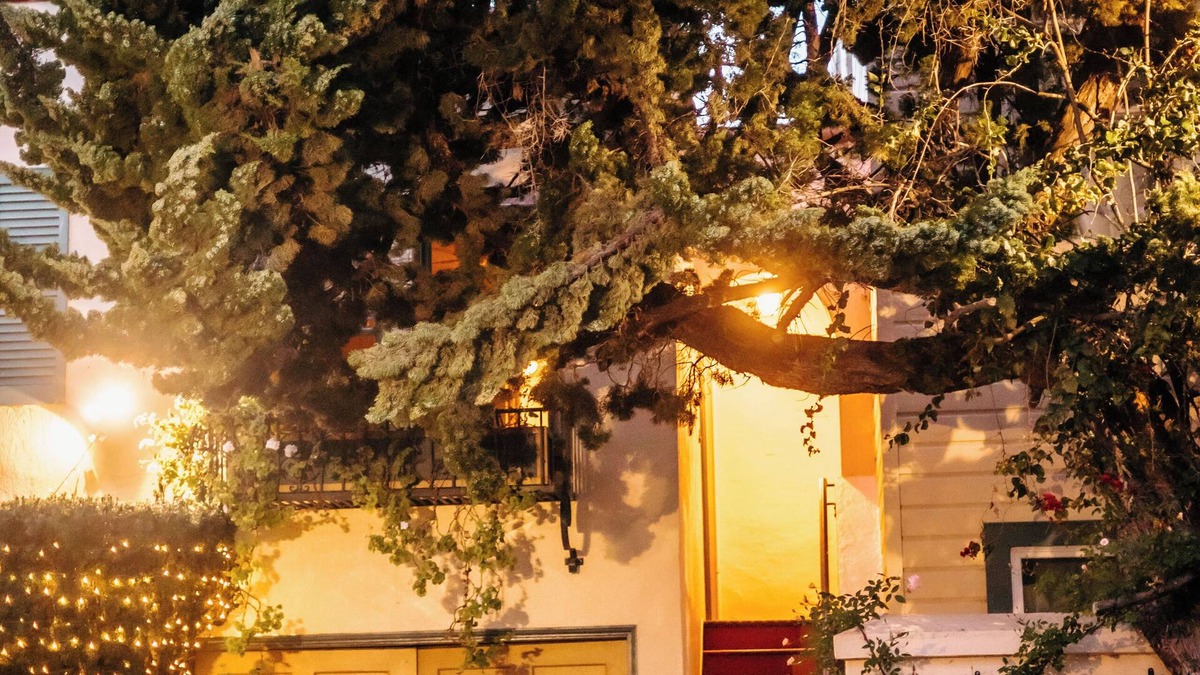 Marina District Apartment | Secluded Courtyard Studio with Kitchen & Private Entrance