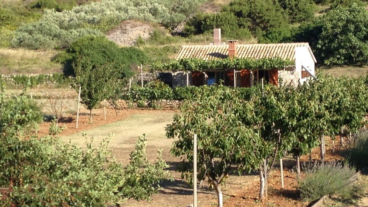 Zena Glava House | Secluded house with a parking space Podhumlje, Vis (K-13984)