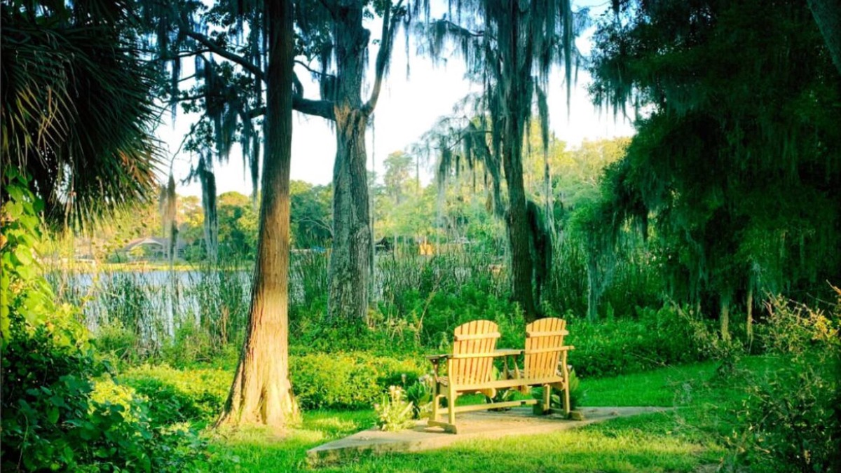 Greater Northdale House | Secluded Lakefront House short drive to Beaches, Busch Gardens, Stadium, Disney