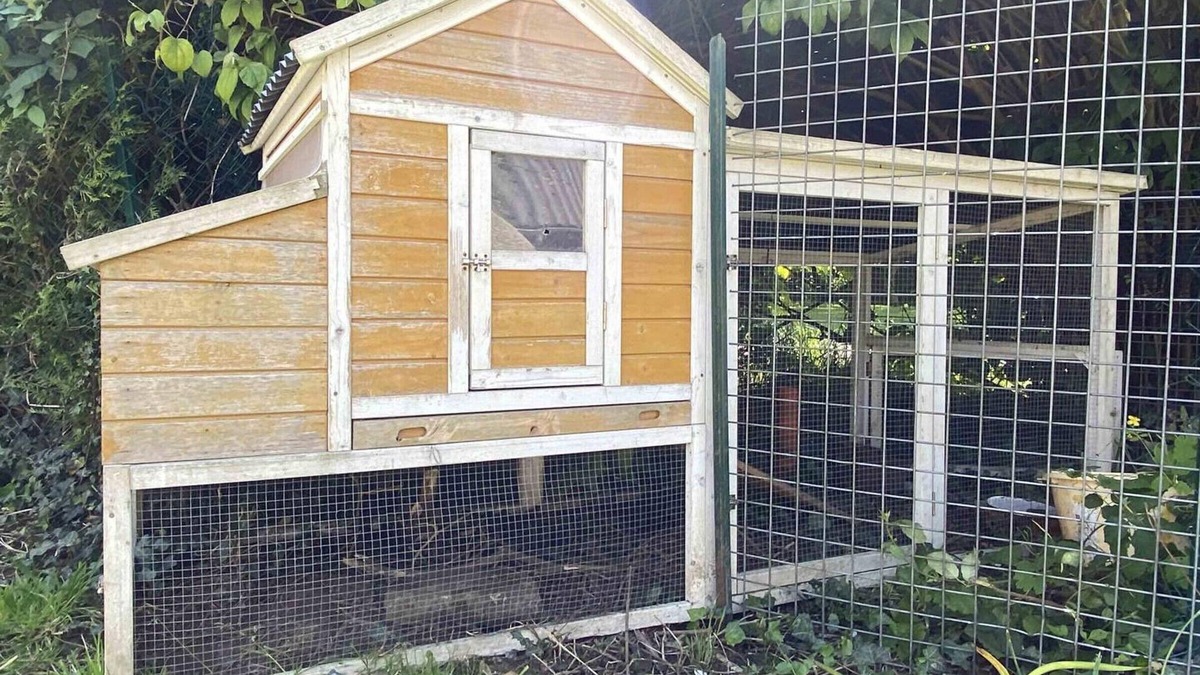 La Ferte-en-Ouche Cottage | Secluded old house, private garden, pets welcome