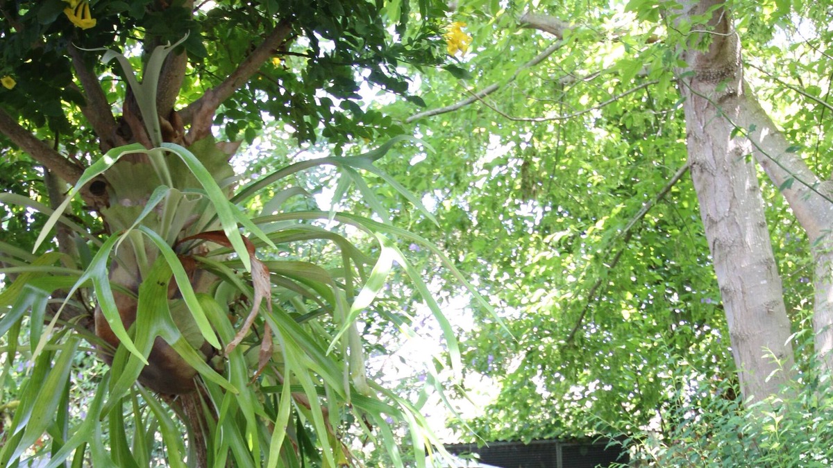 West Busselton House | Secret Garden Cottage! Hot outdoor bath with minutes to beach.