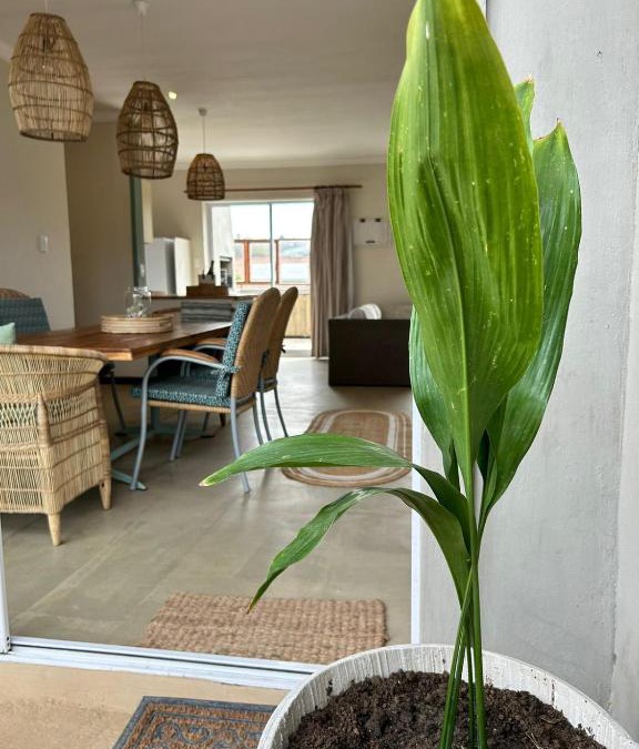 Jeffreys Bay Apartment | Secrets 1 at Waterkant 7