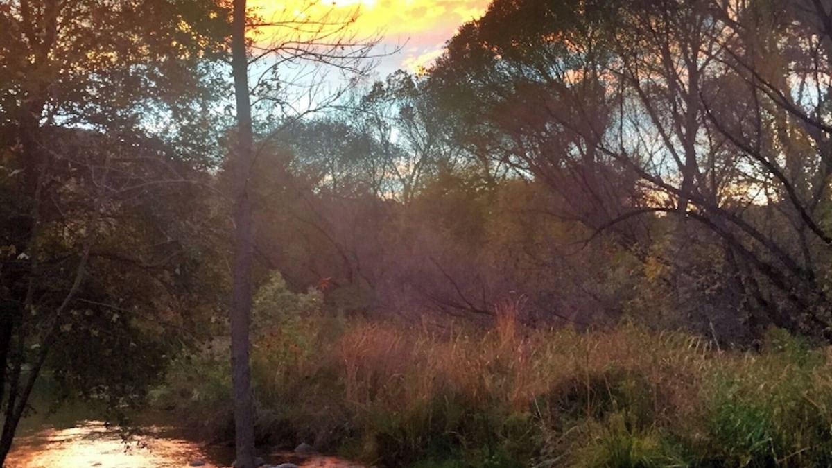 Rimrock House | Sedona Creekfront Hideaway ~ a beautiful private home on 2 acres of creek front
