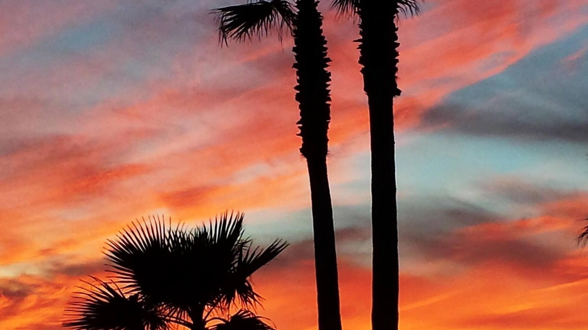 Rosarito House | See sunsets and dolphins in secure, serene Casa Delfin - Las Gaviotas Community