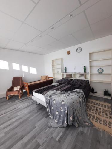 Sankt Andra am Zicksee Apartment | Seewinkel St. Andrä am Zicksee