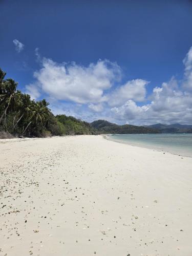 Selayar Islands Hotel | SELAYAR TURTLE BAY
