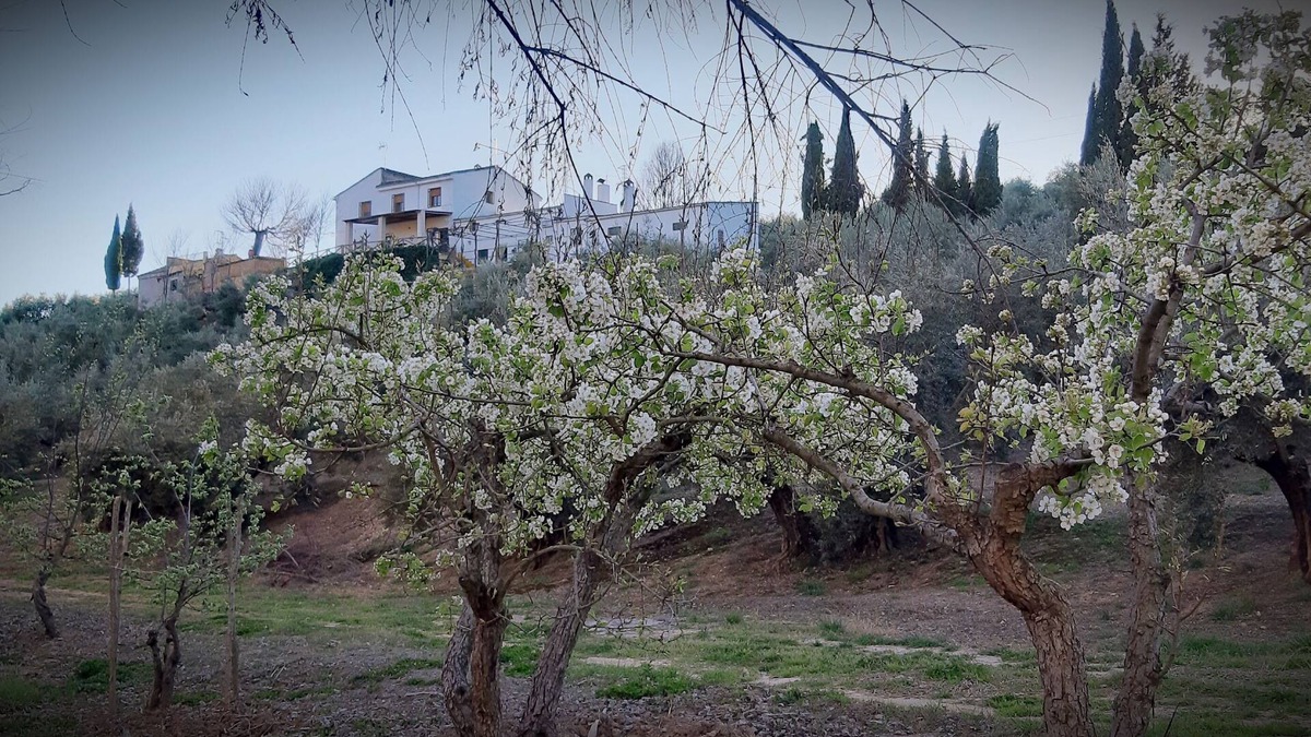 Villacarrillo Cottage | Self catering Cortijo El Capricho for 7 people