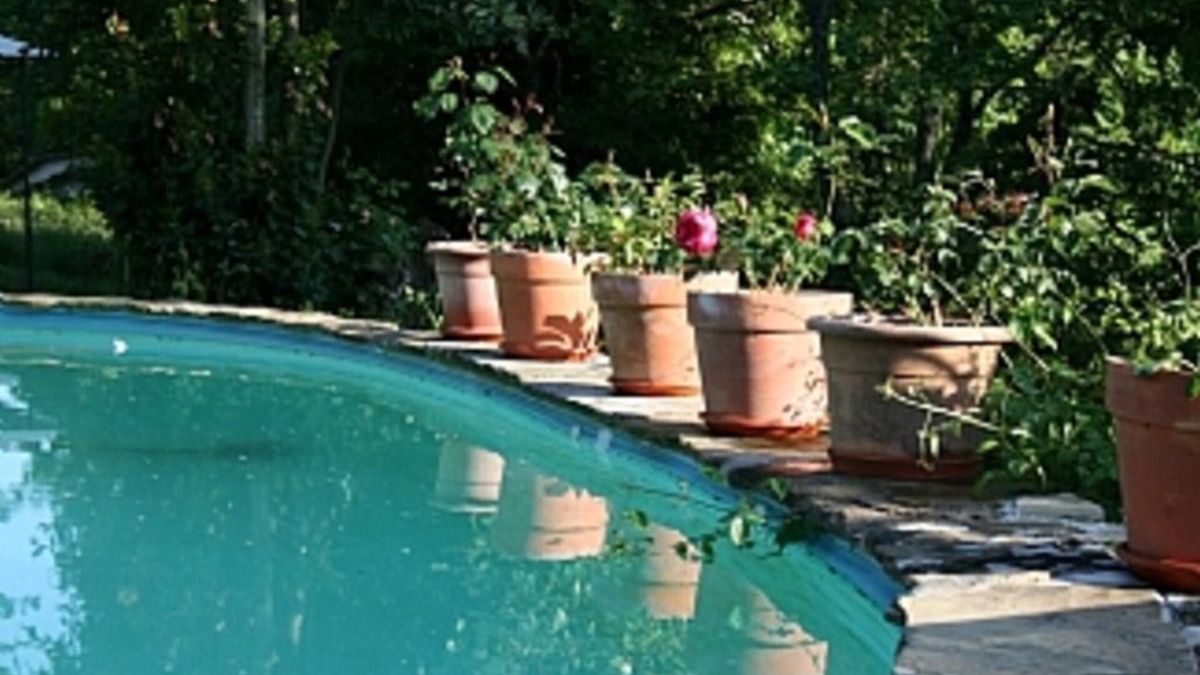 Pieve di Chio Cottage | Self Catering Cottage With Swimming Pool