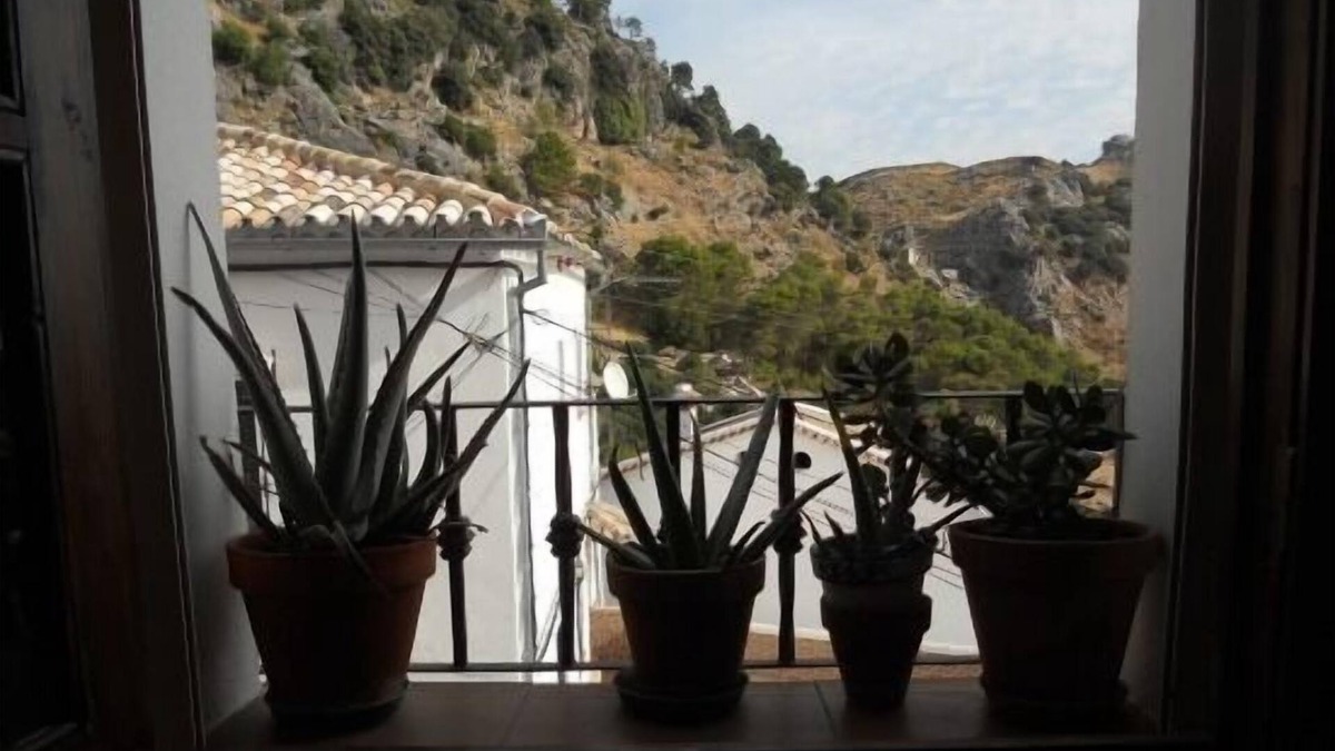 Grazalema Cottage | Self catering Yerbaluisa for 12 people