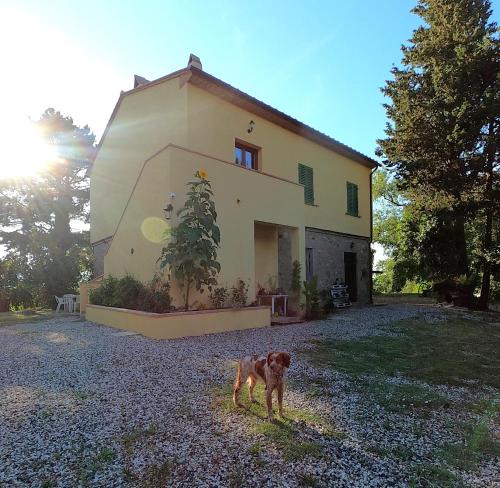 Canneto House | Seme di Luna