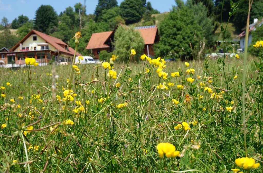 Bad Gams Bed & Breakfast | Seminar- und Erlebnishof Das schwarze Schaf