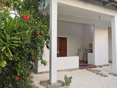 Mnemba House | Sengo House