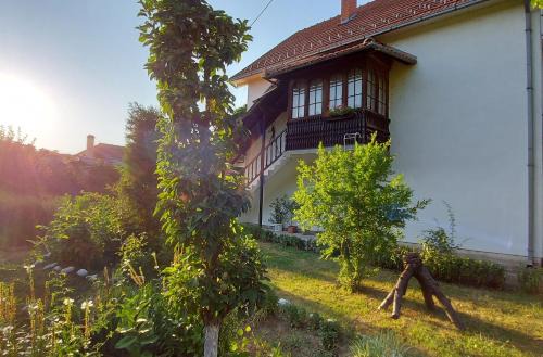 Donji Milanovac Apartment | Seosko turističko domaćinstvo Badrkić