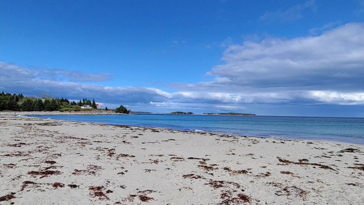 Mill Cove House | Sept Availability! Steps to St Margaret's Bay