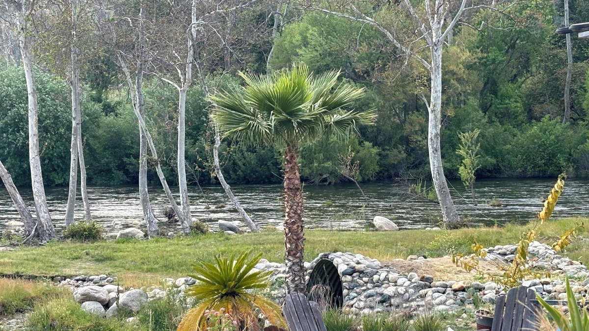 Three Rivers Cabin | Sequoia Riverfront Cabins