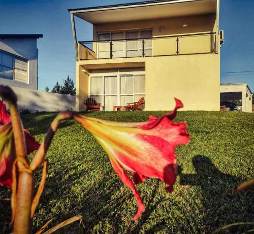 Santa Ana Apartment | Serendipia Santa Ana