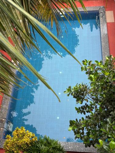 Arambol Apartment | Serendipity Goa - Service Apartments and Cafe