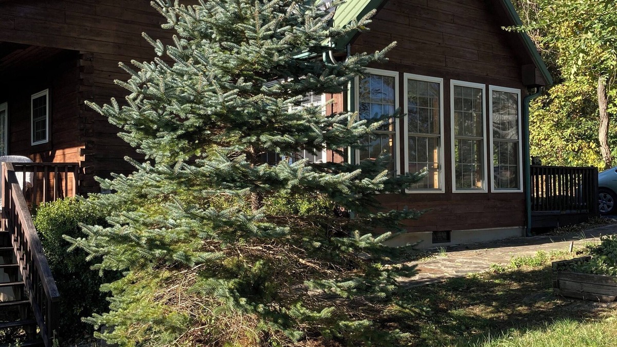 Cana House | Serene home with scenic view near the Blue Ridge Parkway