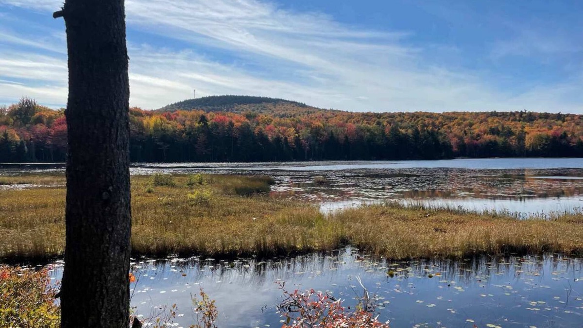 Blue Hill House | Serene Pondside Cottage w/Private Island Camping!