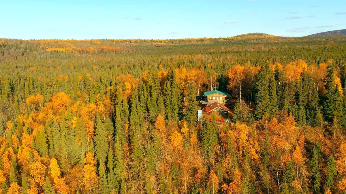 Nenana Cabin | Serene Wilderness, Fly-in, Guest Cabins at Gold King Lodge, WiFi, Sauna & More