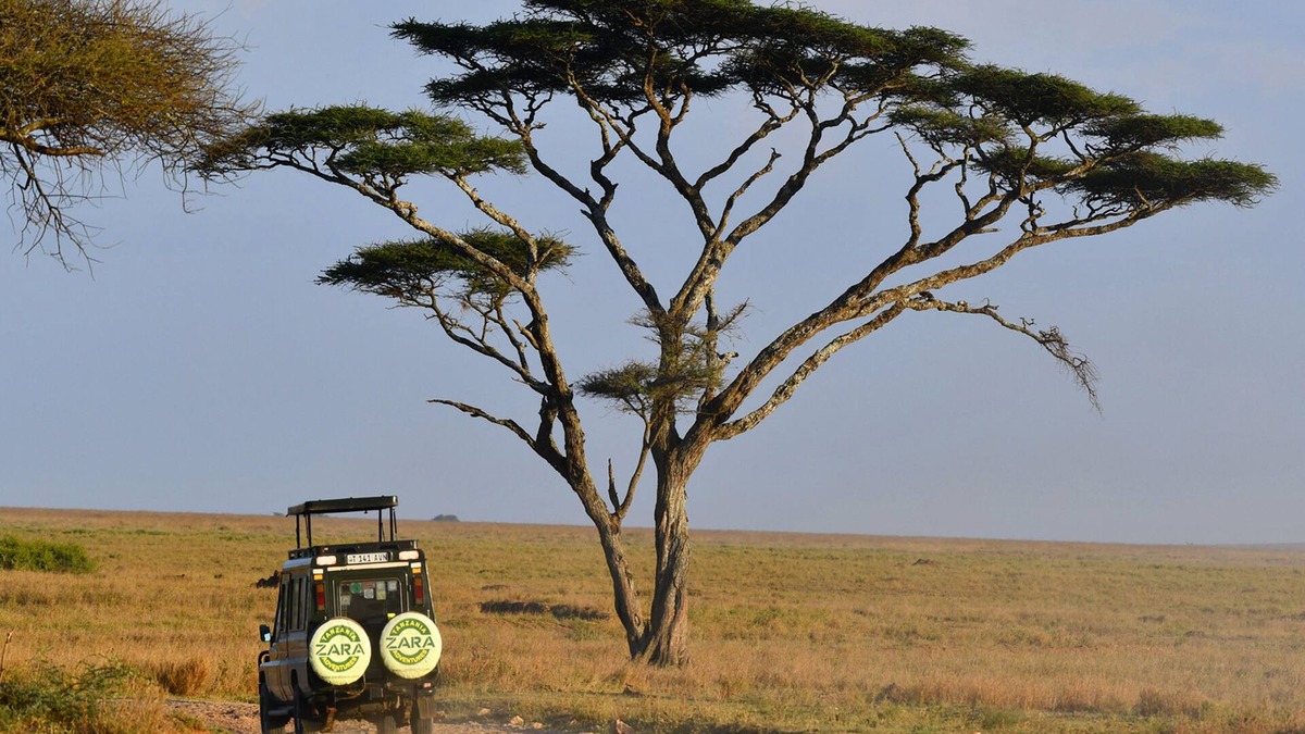 Serengeti National Park Other | Serengeti Wildebeest Camp