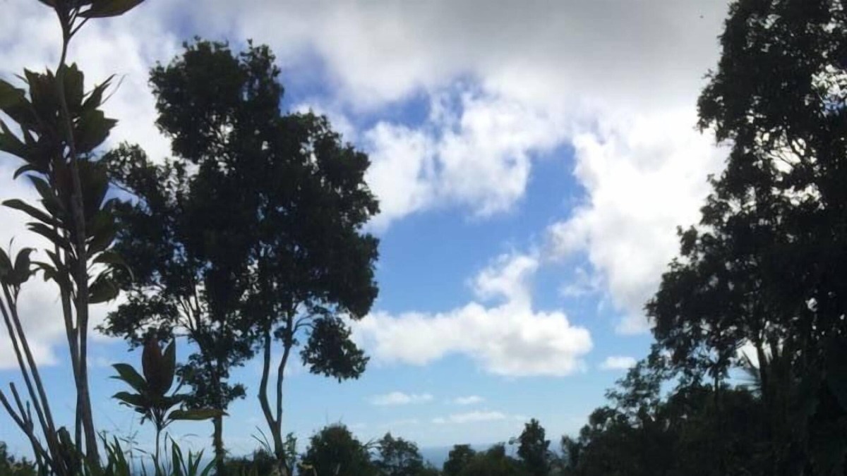 Pitahaya Bed & Breakfast | Serenity Rainforest Retreat