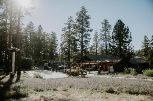Big Bear Lake Resort | Sessions Retreat & Hotel