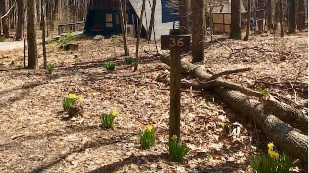 Berkeley Springs Cabin | Shady Grove- Private Hot Tub