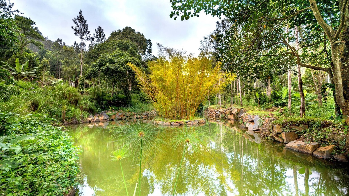 Yercaud Hotel | Shambala Yercaud