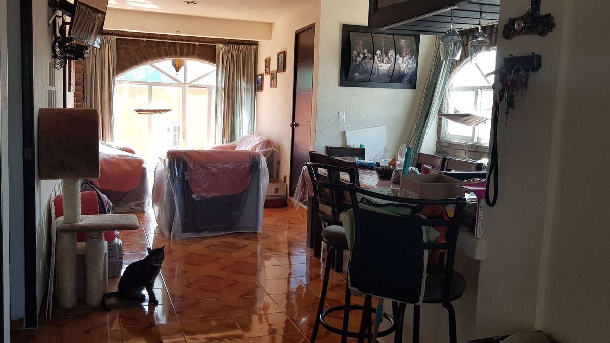 Coyoacan Apartment | Shared Room for travelers in Exchange to study in Unam