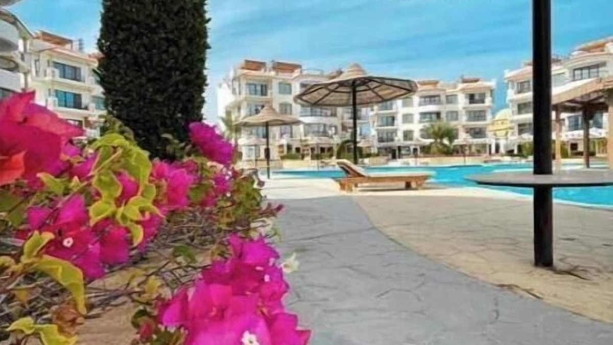 Sharm El Sheikh Apartment | Sharm Hills Resort - Luxury Apartment 4