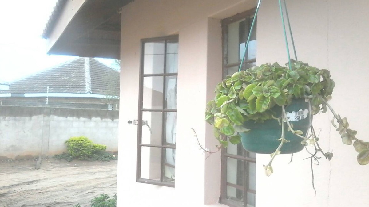 Francistown House | Sharon Avenue Guesthouse